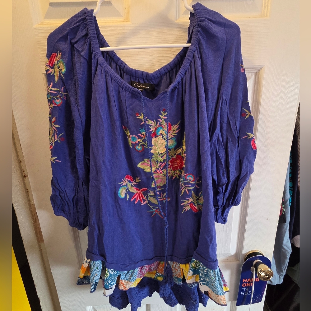 Vibrant Blue Embroidered Top